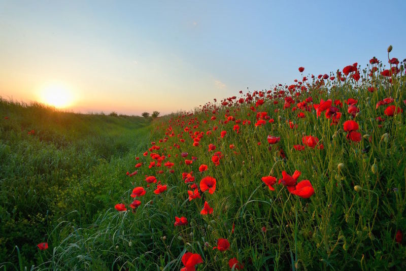 A New Battlefield: Creation
