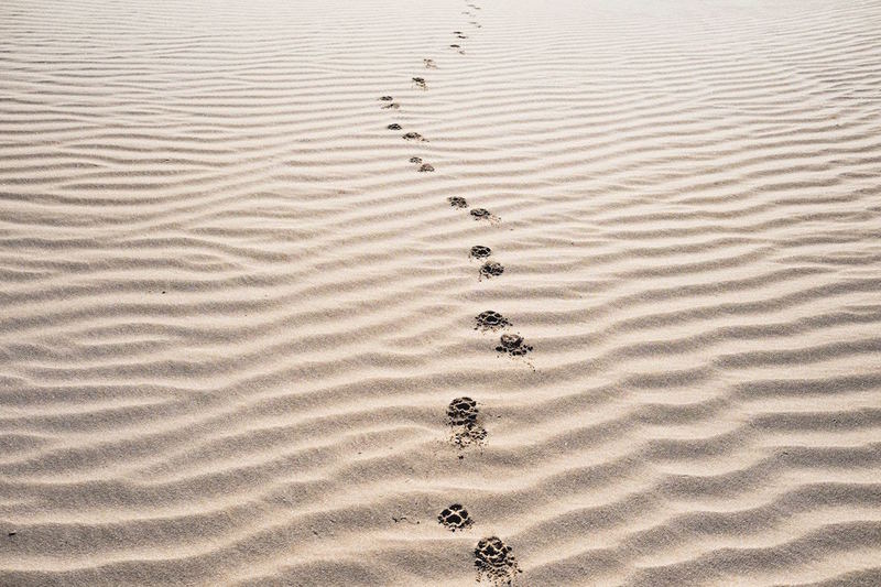 Following Christ